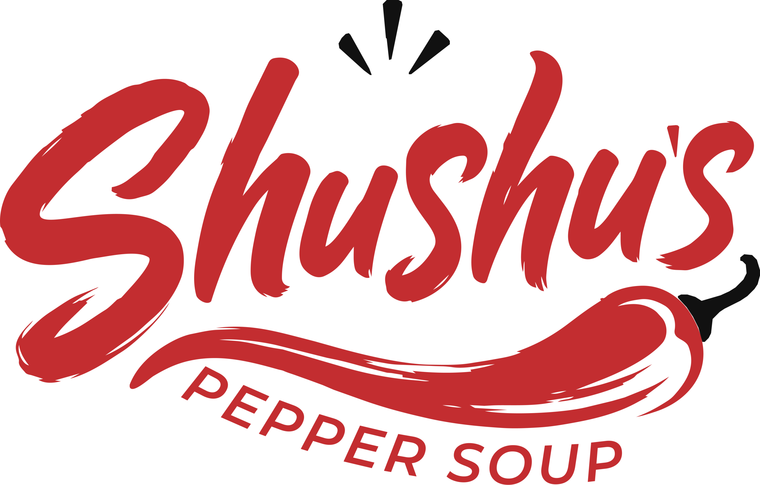 Shushu's Pepper Soup